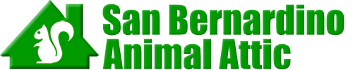 San Bernardino Animal Attic